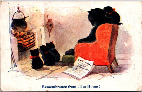 Animal - Cat or Cats postcard - Mama cat sitting by fire w/4 kittens - F23013