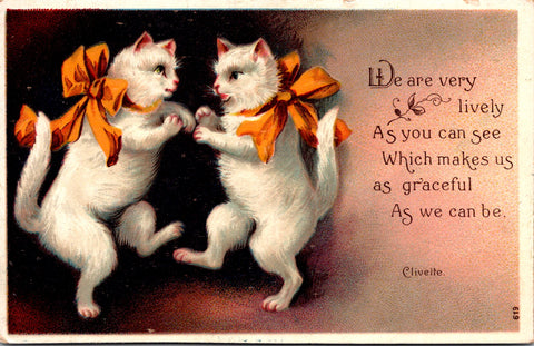 Animal - Cat or Cats postcard - Clivette signed - #619 - F23014