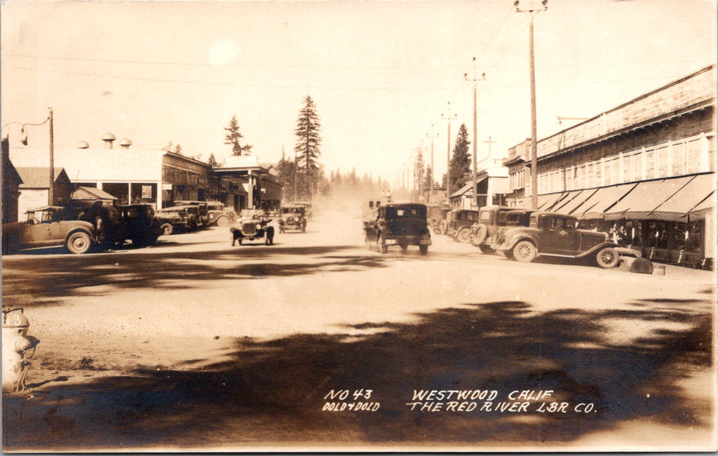CA, WESTWOOD - street scene, Red River LBR Co - Dold & Dold rppc - F23031
