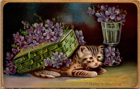 Animal - Cat or Cats postcard - kitten under basket - F23051