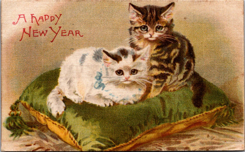 Animal - Cat or Cats postcard - kittens on green pillow - Winsch Back - F23052