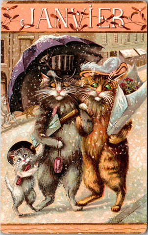 Animal - Cat or Cats postcard - Anthropomorphic - Janvier - F23054