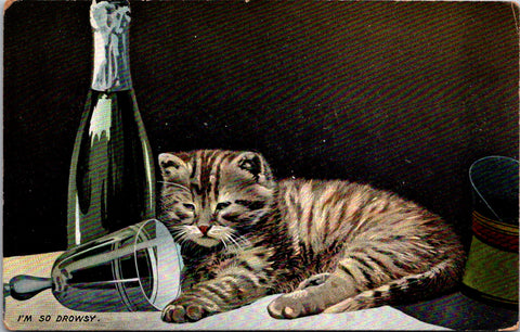 Animal - Cat or Cats postcard - I'M SO DROWSY - champagne, glass - F23056