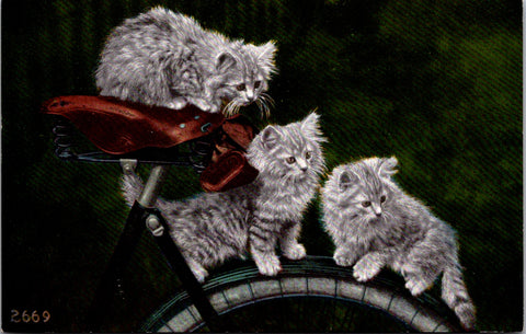 Animal - Cat or Cats postcard - gray kittens on a bike - Edw H Mitchell card - F