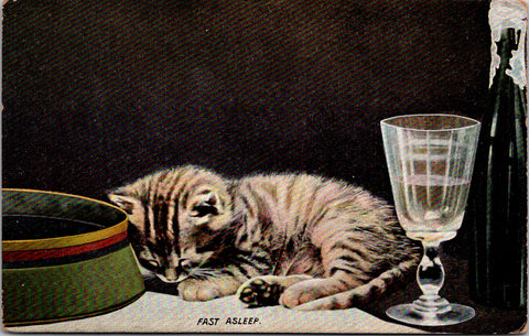 Animal - Cat or Cats postcard - FAST ASLEEP - champagne, glass - F23058
