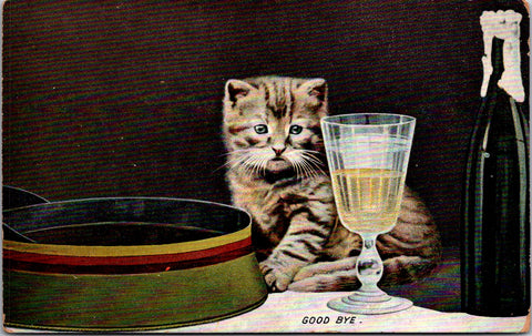 Animal - Cat or Cats postcard - GOOD BYE - champagne, glass - F23059