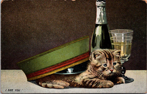 Animal - Cat or Cats postcard - I SEE YOU - champagne, glass - F23060