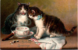 Animal - Cat or Cats postcard - Birthday Series #105 - F23082