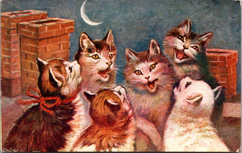 Animal - Cat or Cats postcard - bunch of them howling at moon - F23083