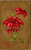 Xmas - Christmas Greetings from California - Poinsettias - Gold Gilt - PNC postc