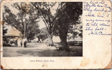MA, SALEM - Salem Willows - 1906 postcard - FF0063