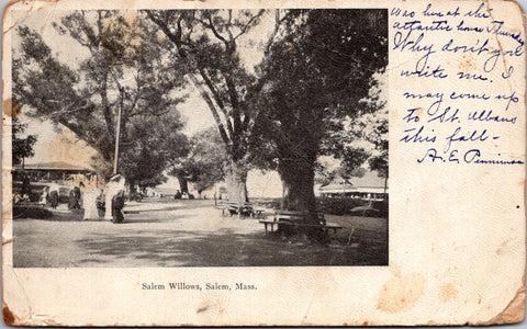 MA, SALEM - Salem Willows - 1906 postcard - FF0063