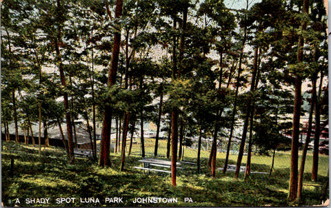 PA, Johnstown - Luna Park, A shady spot - 1907 postcard - G03028