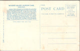 IL, CHICAGO - Jackson Park - Wooded Island, bridge postcard - GR0141