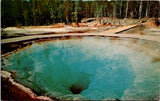 WY, YELLOWSTONE - Morning Glory Pool close-up, Yellowstone Park postcard - H04110