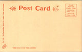 MA, WORCESTER - Institute Park Tower - Sepia colored postcard - K03210