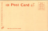 MA, Worcester - Institute Park Tower - Sepia colored postcard - K03210