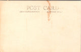 MI, CHESANING - High School - Real Photo postcard, RPPC - MB0164