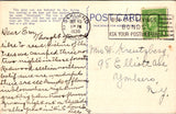 CA, LILLEY - Redwood Park, Fraternal Monarch quadruped tree postcard - MB0432