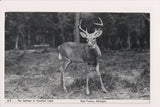 MI, EAST TAWAS - a buck deer on postcard, RPO cancel - MI0024