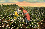 Black Americana - Cotton Workers (Romeo & Juliiet) postcard - NL0547