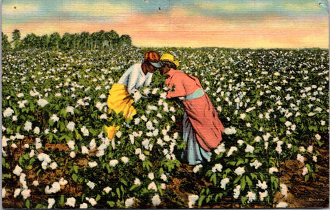 Vintage African American - Black Cotton Workers postcard - NL0547