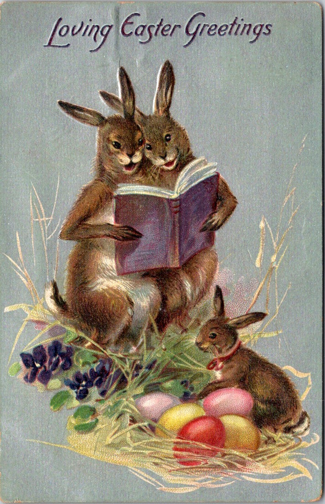 Easter - Anthropomorphic rabbits reading to bunny - Tuck postcard - NL0568