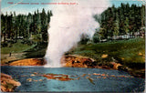 WY, YELLOWSTONE - Riverside Geyser, Yellowstone Park postcard - NL0583