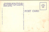 WY, YELLOWSTONE - Yellowstone Lake and Mt Sheridan, Yellowstone Park postcard - NL0589