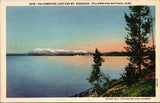 WY, YELLOWSTONE - Yellowstone Lake and Mt Sheridan, Yellowstone Park postcard - NL0589