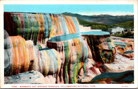 WY, YELLOWSTONE - Mammoth Hot Springs Terraces, Yellowstone Park postcard - NL0591
