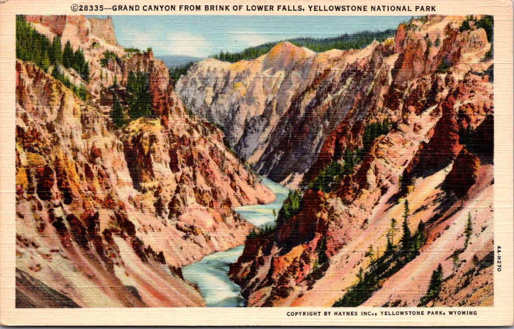 WY, YELLOWSTONE - Grand Canyon from Lower Falls, Yellowstone Park postcard - NL0593