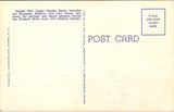 WY, YELLOWSTONE - Geyser Hill, Upper Basin, Yellowstone Park postcard - NL0594