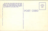 WY, YELLOWSTONE - Giant Geyser Cone, Yellowstone Park postcard - NL0597
