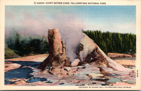 WY, YELLOWSTONE - Giant Geyser Cone, Yellowstone Park postcard - NL0597