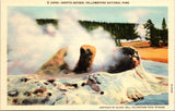WY, YELLOWSTONE - Grotto Geyser, Yellowstone Park postcard - NL0598