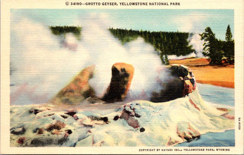 WY, YELLOWSTONE - Grotto Geyser, Yellowstone Park postcard - NL0598