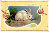 Easter - white bunny rabbit - H Wessler postcard - NL0601