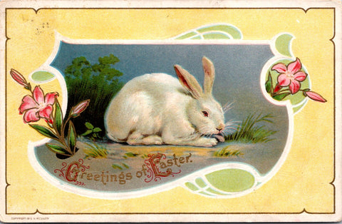 Easter - white bunny rabbit - H Wessler postcard - NL0601