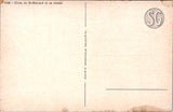 Animal - Dog or Dogs - ST BERNARD with puppies postcard - NL0630