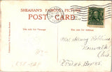 Animal - Dog or Dogs - NEWFOUNDLAND vintage postcard - NL0638