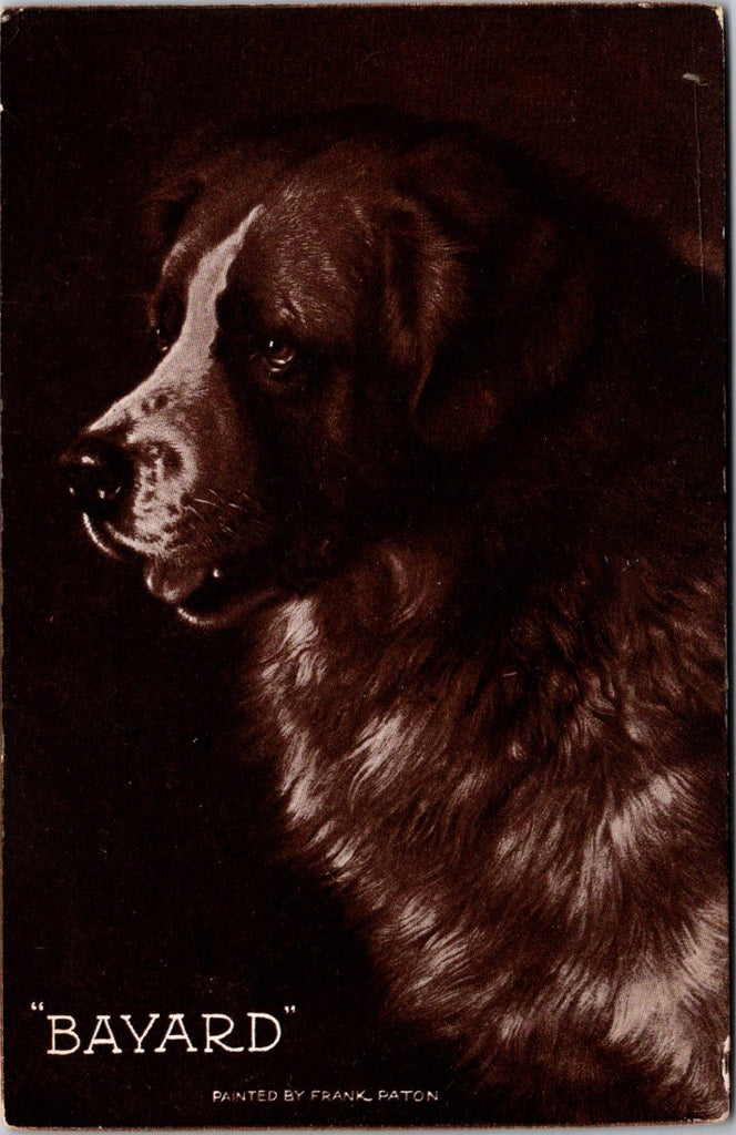 Animal - Dog or Dogs - NEWFOUNDLAND vintage postcard - NL0638
