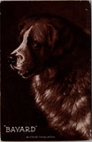 Animal - Dog or Dogs - NEWFOUNDLAND vintage postcard - NL0638