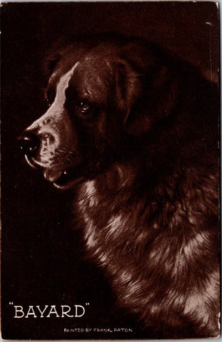 Animal - Dog or Dogs - NEWFOUNDLAND vintage postcard - NL0638