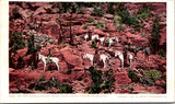 AZ, GRAND CANYON NATIONAL PARK - Angel Trail - Detroit Photographic postcard - NL0802