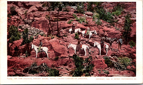 AZ, GRAND CANYON NATIONAL PARK - Angel Trail - Detroit Photographic postcard - NL0802