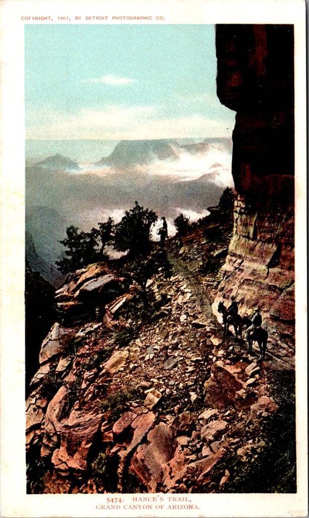 AZ, GRAND CANYON - Hances Trail - Detroit Photographic postcard - NL0803