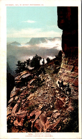 AZ, GRAND CANYON - Hances Trail - Detroit Photographic postcard - NL0803