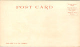 AZ, GRAND CANYON - view into - Detroit Photographic postcard - NL0804