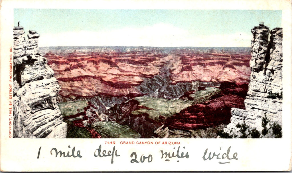 AZ, GRAND CANYON - view into - Detroit Photographic postcard - NL0804